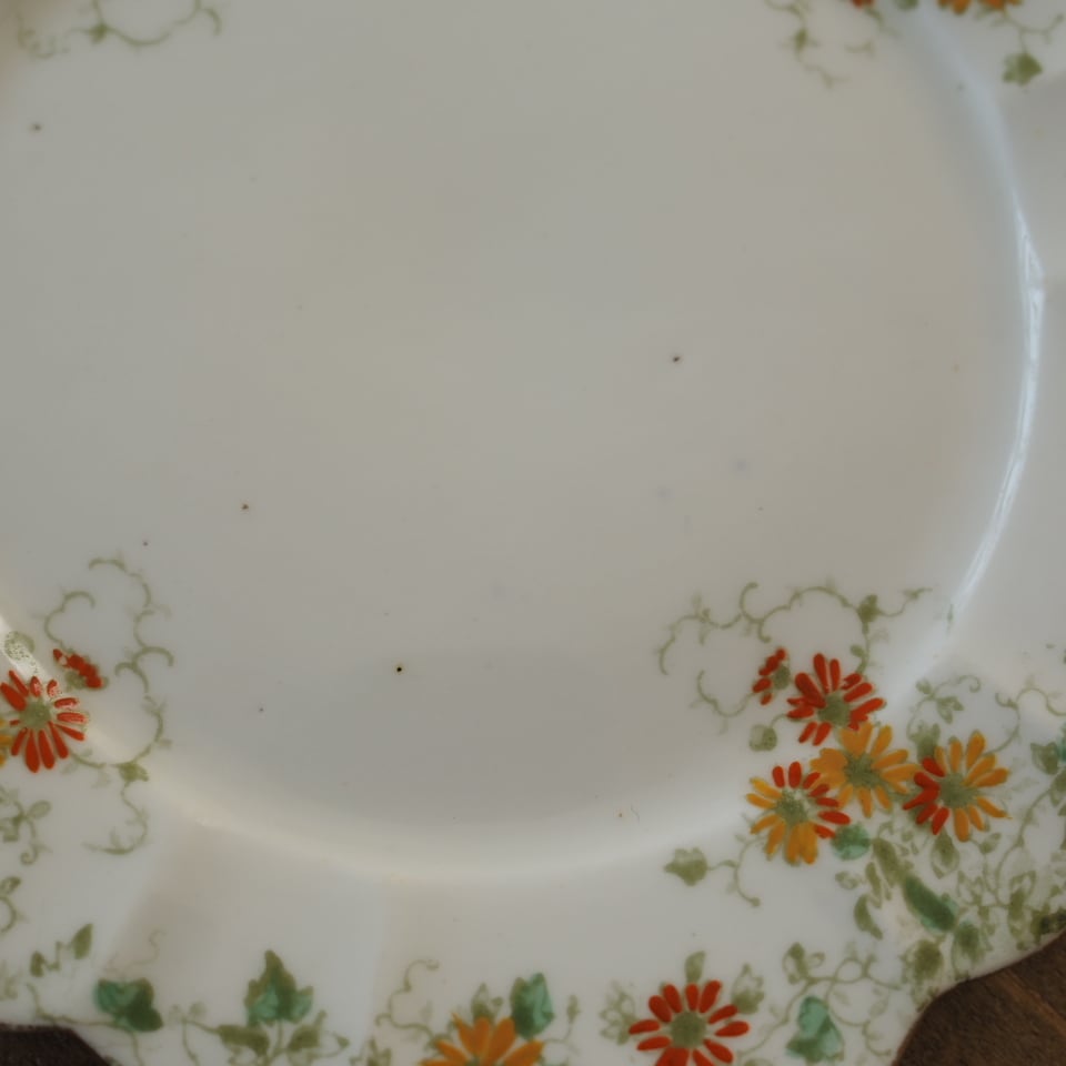 英国Shelley（シェリー） オレンジ・デイジー柄 プレート3枚 F1