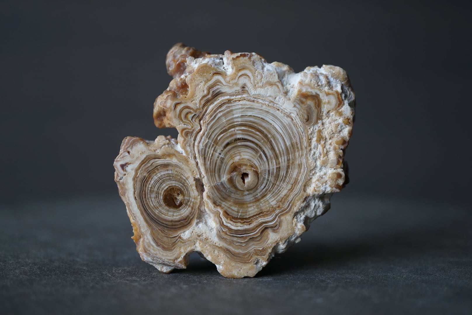 モロッコ産カルサイト/アラゴナイト Calcite / Aragonite 1861 | 叙景