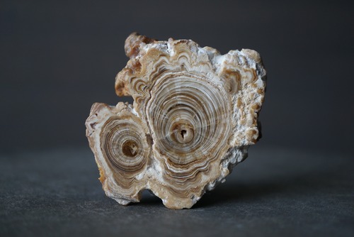 モロッコ産カルサイト/アラゴナイト Calcite / Aragonite 1861