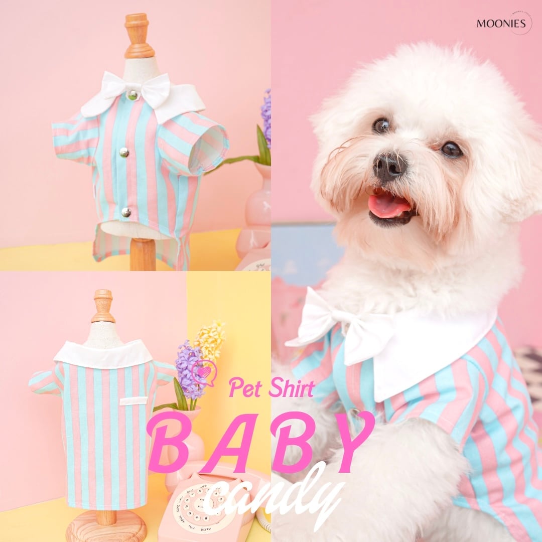 Baby Candy – Pet Shirt〈XS~L〉