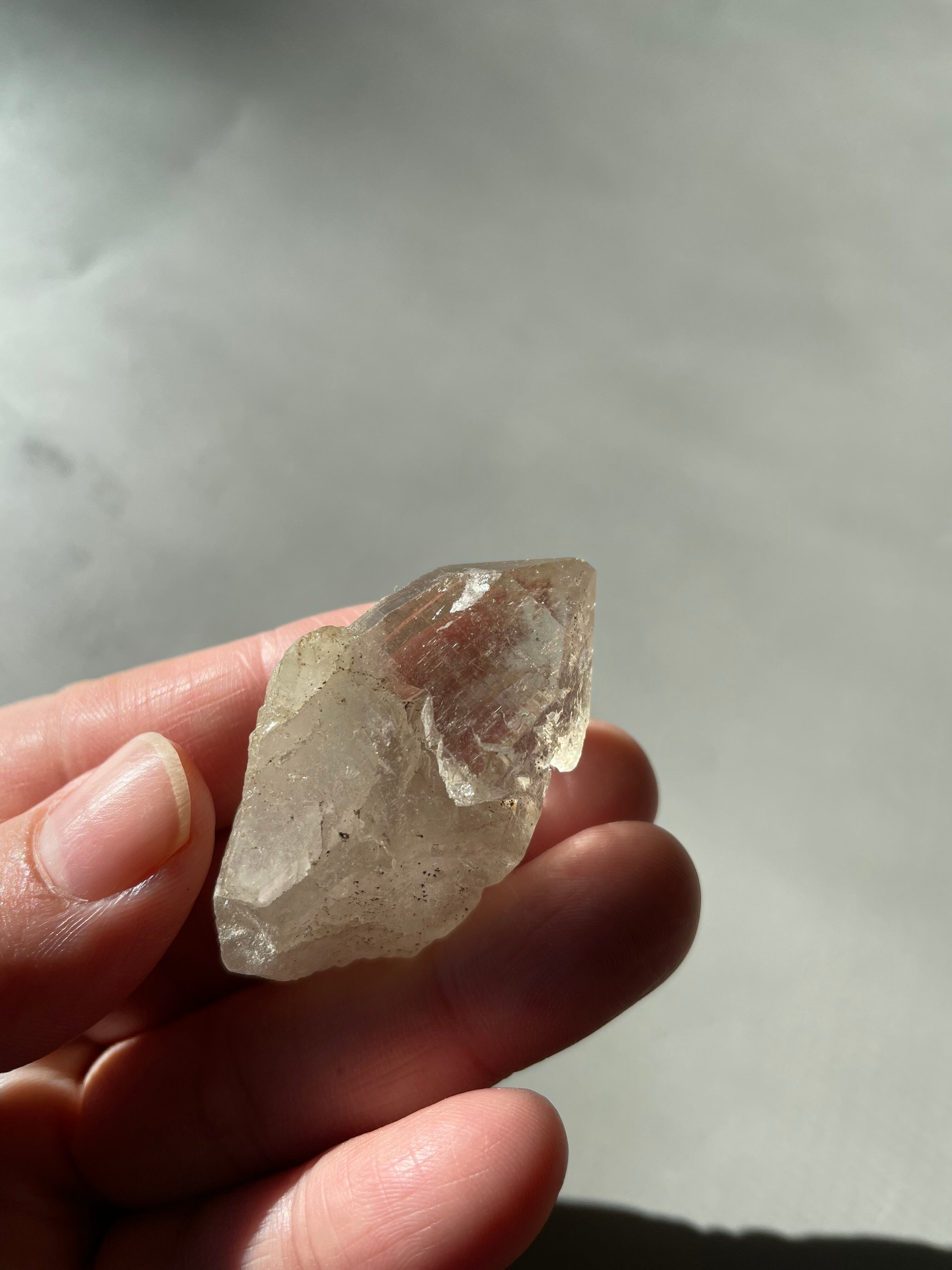 Golden Healer / ゴールデンヒーラー