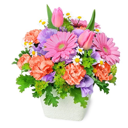 2月オススメ商品②　アレンジメント