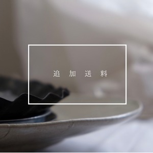 追加送料