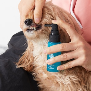 OraBio リペアウォーター50ml（マウススプレー）犬猫用