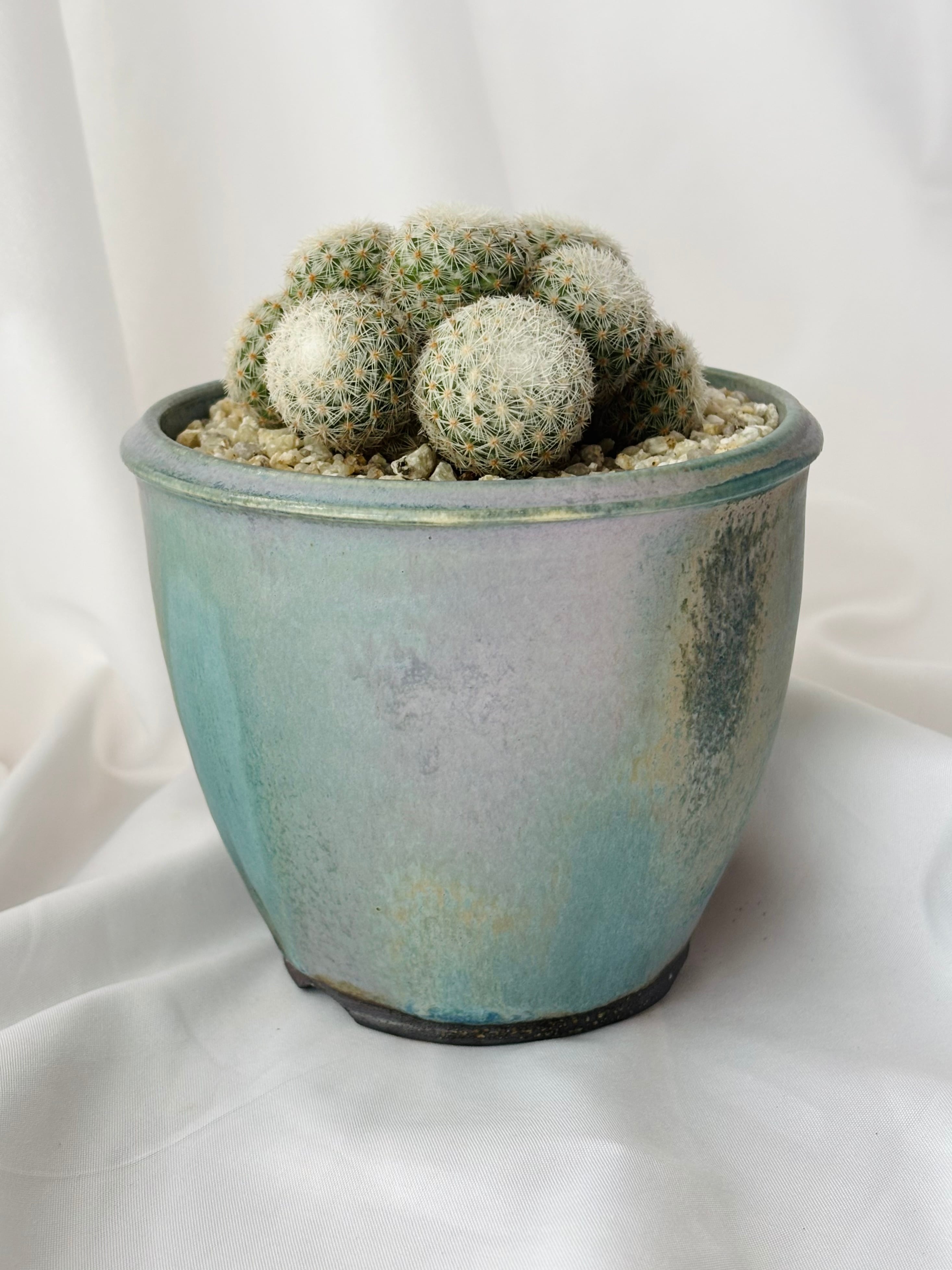 aa0adcf04bdbd3d563bc0d0b265672