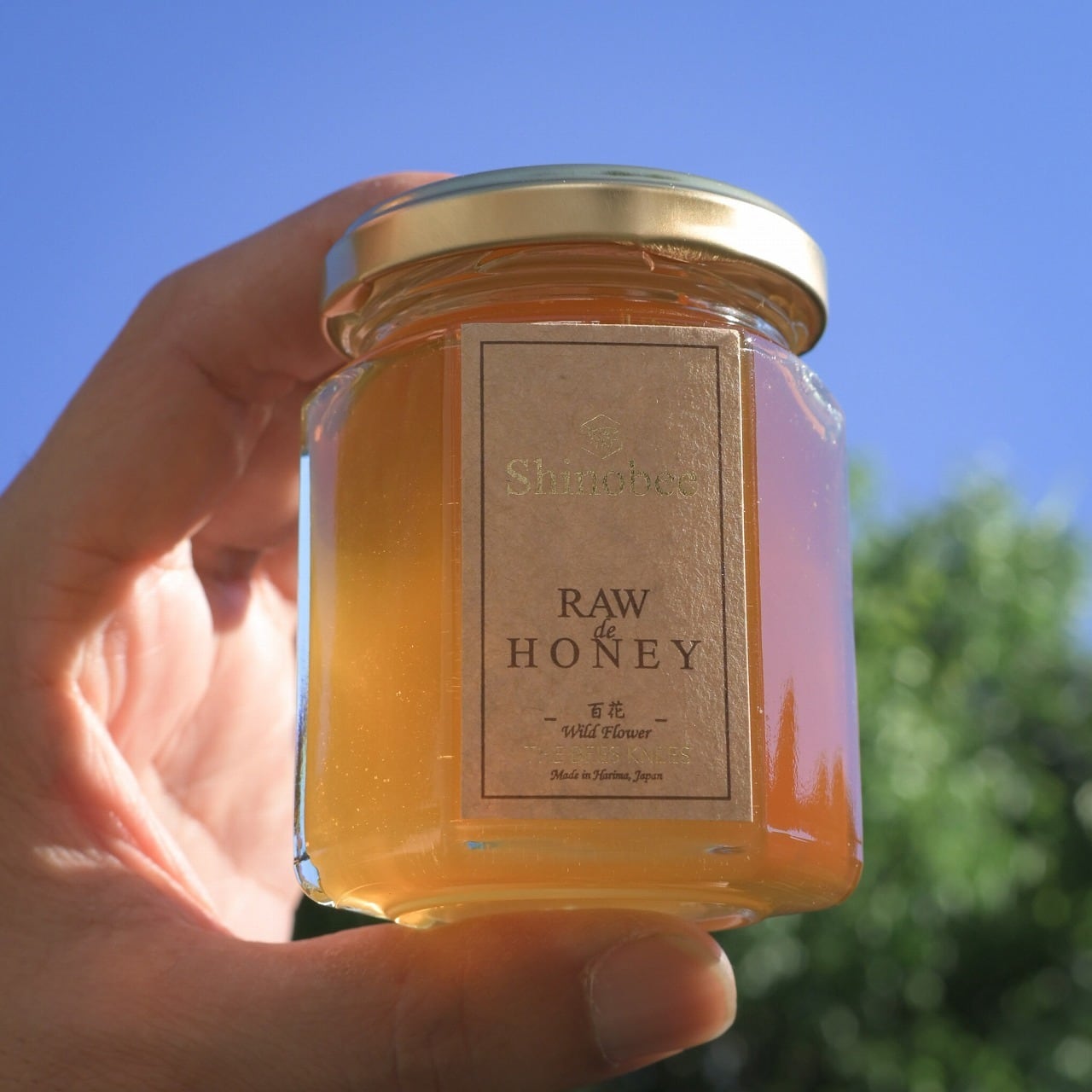 百花〈山野の花々〉国産・非加熱生はちみつ 125 g | 養蜂家の生