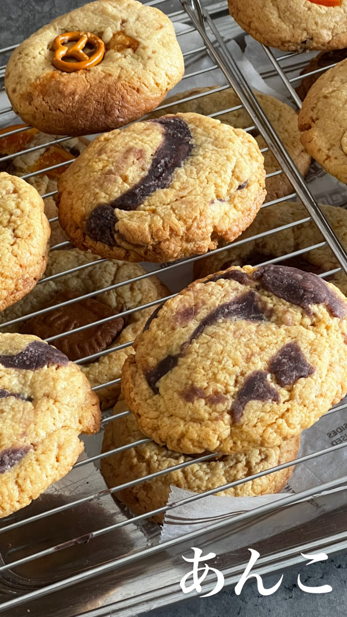 ダブルチョコチャンク | CHUNKY&CHEWY