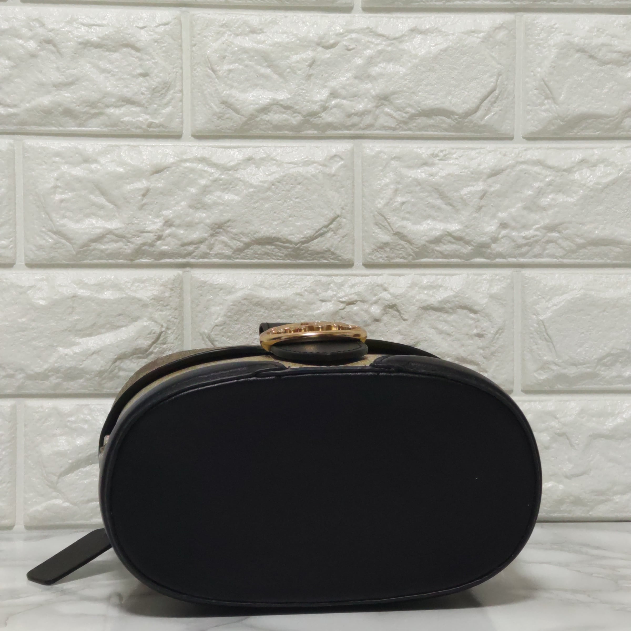 COACH コーチ ジョージージェムクロスボディブロックドシグネチャー 