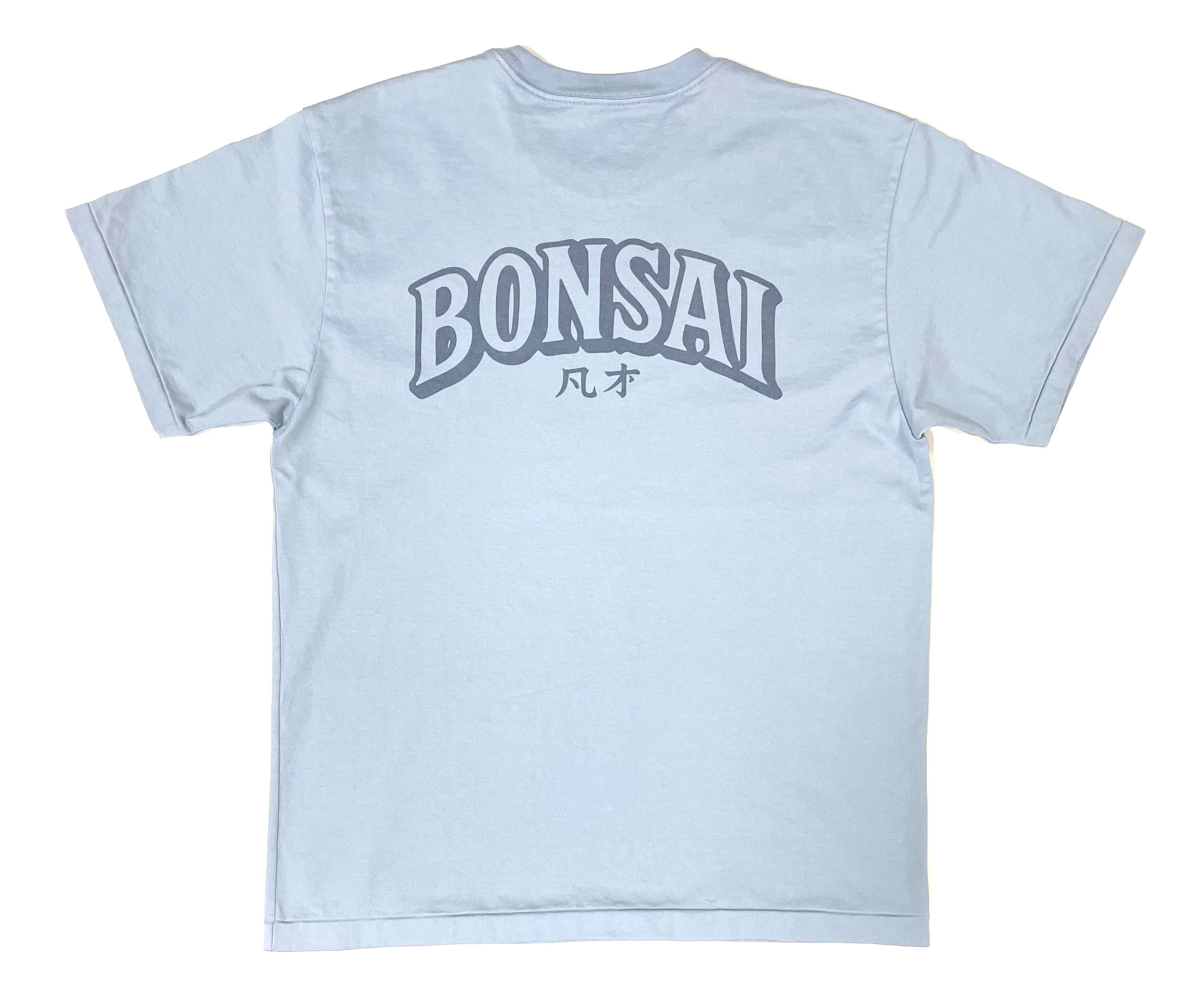 aa0e6301d294e5f9bd715f87ceb62e