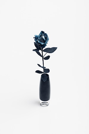 【DENIM ROSE】 -IBARA / 藍バラ-