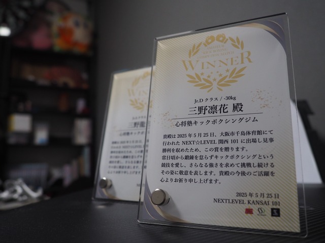 (RT-0008) シーンを選ばないシンプルデザイン 半袖ハイクオリティーTシャツ Black×Gold