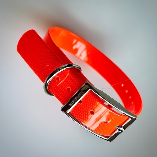 Hamakaze ウェビングカラー 19’ Fit M（首周り33–42cm 幅2.5cm）Heavy Duty 防水 首輪｜強靭・高耐久｜アウトドア 中型犬 大型犬 使役犬 猟犬 訓練 競技用