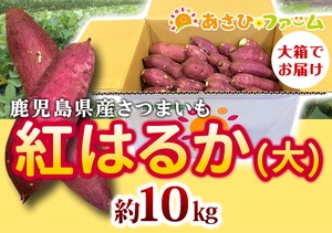 [人気の紅はるか】焼き芋や炊飯器でのふかし芋におすすめ！鹿児島県産さつまいも【段ボール入り大・10㎏】