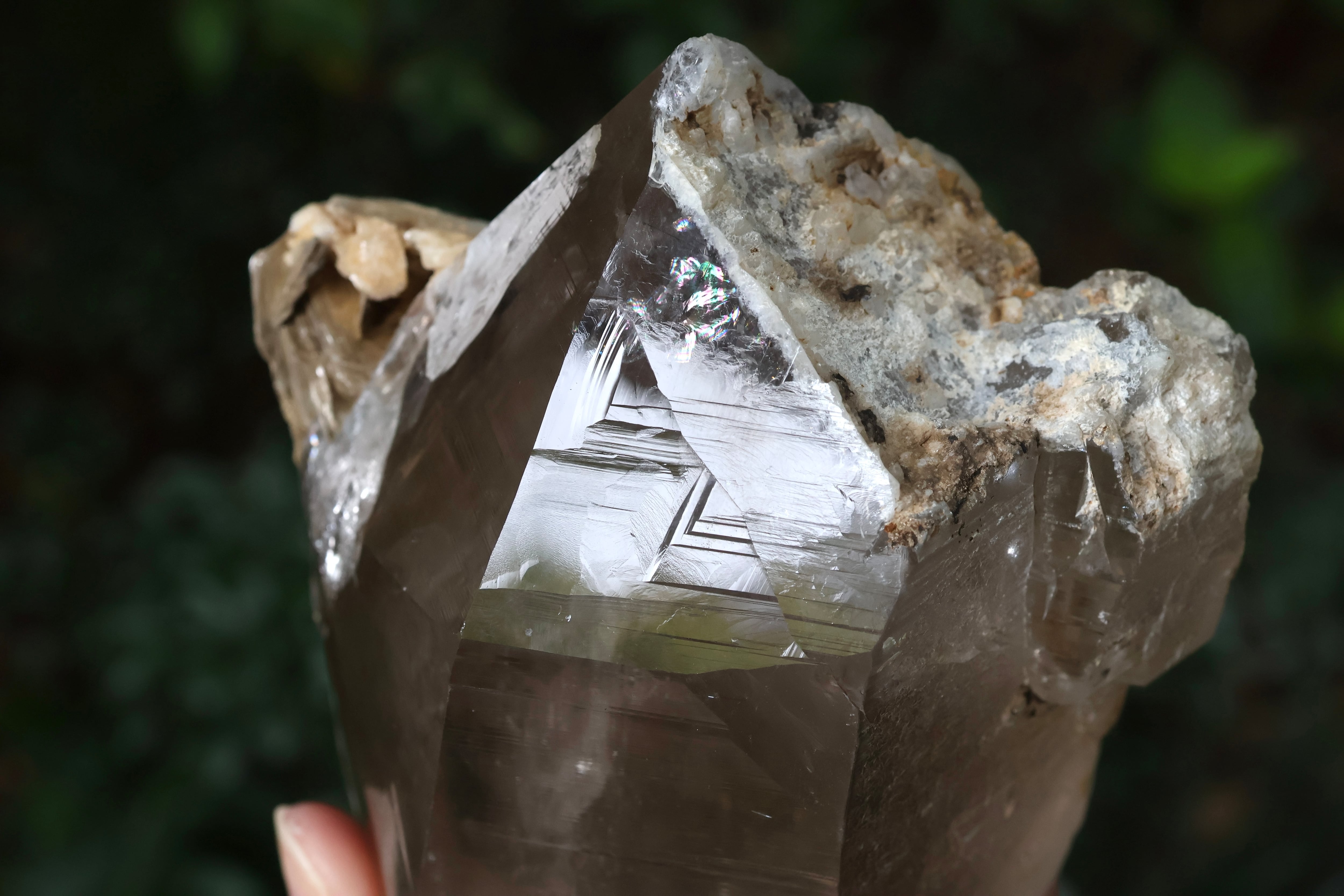 ヒマラヤ水晶 タプレジュン産 虹入り DT | 石垣島の夜光貝アクセサリー