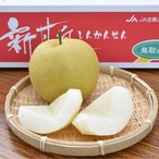 【極上】新甘泉/しんかんせん/糖度13超厳選/5kg箱/特大12入