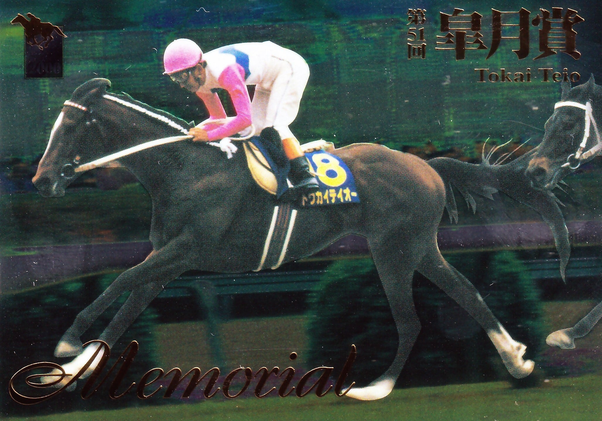 ナリタブライアン：第54回 皐月賞「サラブレッドカード 00年上半期