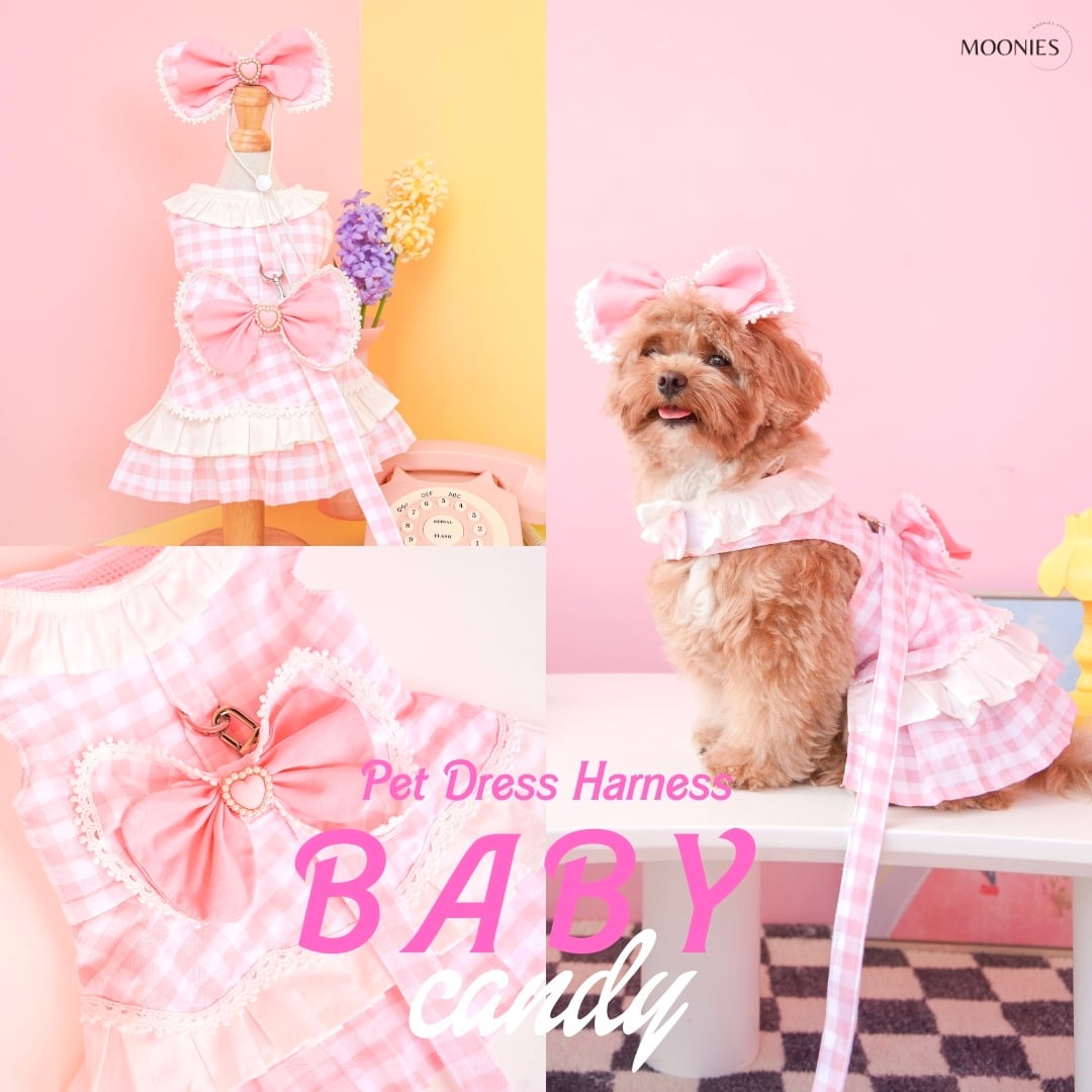 Baby Candy – Pet Dress Harness〈XS ~ M＋〉
