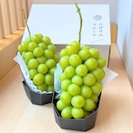 【10月5日お届け分まで】甘さはじける！五味農園の大粒・極上シャインマスカット（２房セット）