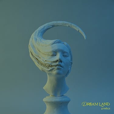新品未使用ermhoi DREAM LAND レコード ermhoi “DREAM LAND” | One Record Store