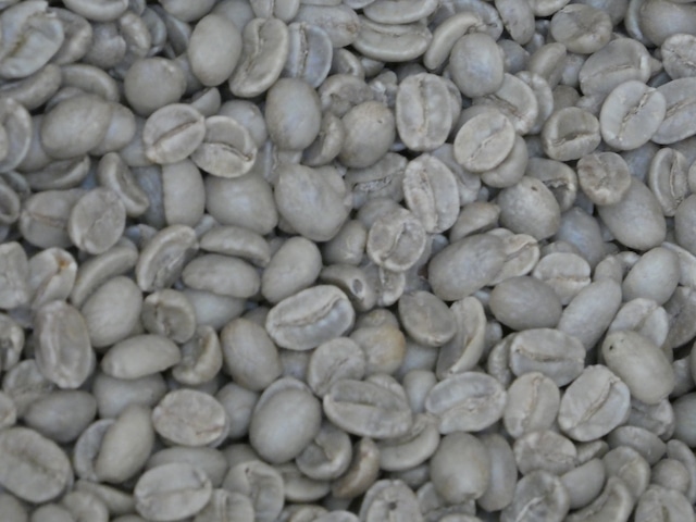 煎豆　グアテマラ ＳＨＢ　500g