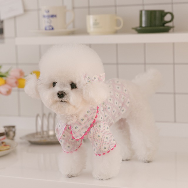 〈即納アイテム〉Rolling PEPE / ヘアピン(1点売り)