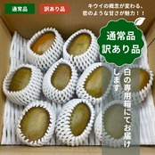 【完売】＜10月下旬より順次発送＞【贈答用黒箱】【産地直送】レインボーレッドキウイ　2Lサイズ 約8個(約1.0Kg)