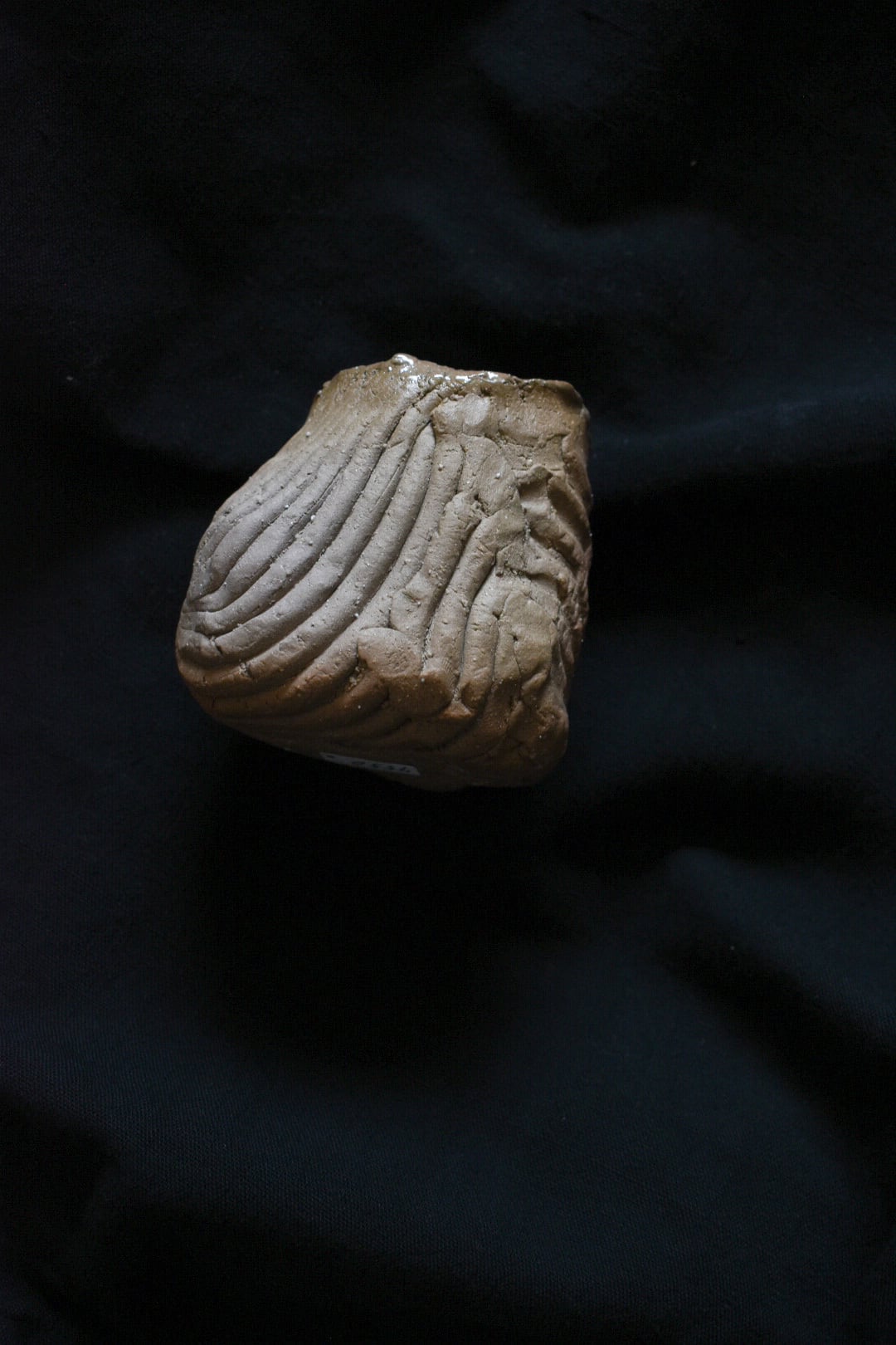 ANNA NOGUCHI 波紋カップ