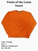 Fruits of the Loom Sweat (00s-10s)