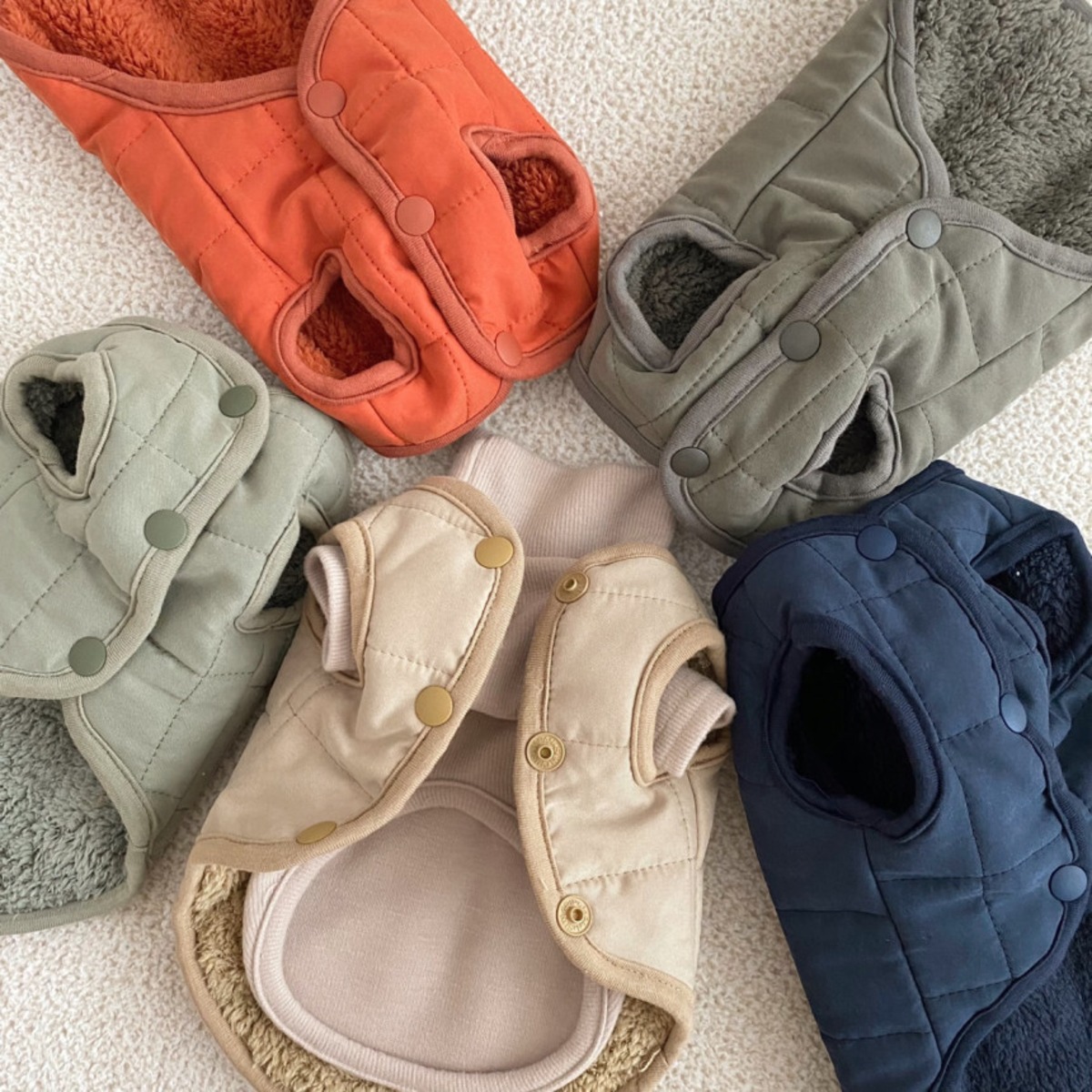 即納[korea select]color soft padding (5color) | ropet