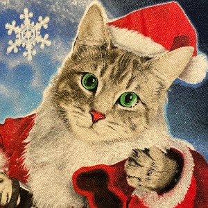 【FRUIT OF THE LOOM】猫 サンタ トナカイ アニマルプリント Tシャツ クリスマス  2XL ビッグサイズ オーバーサイズ us古着 アメリカ古着