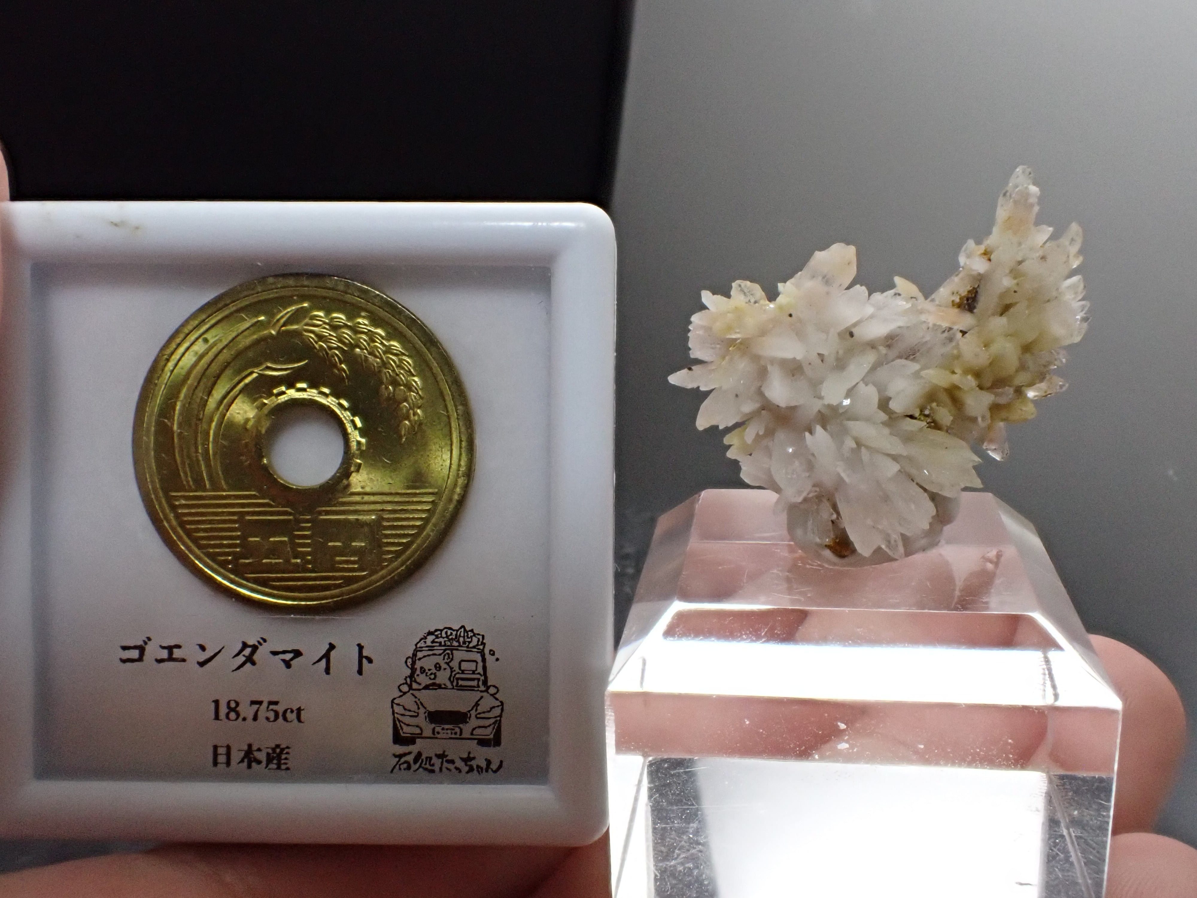 流通僅か】カールヒンツェアイト＆クリーダイト Carlhintzeite 原石