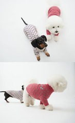 【PUPPYGALLERY公式】ブルーミングドットニット【チェリー】