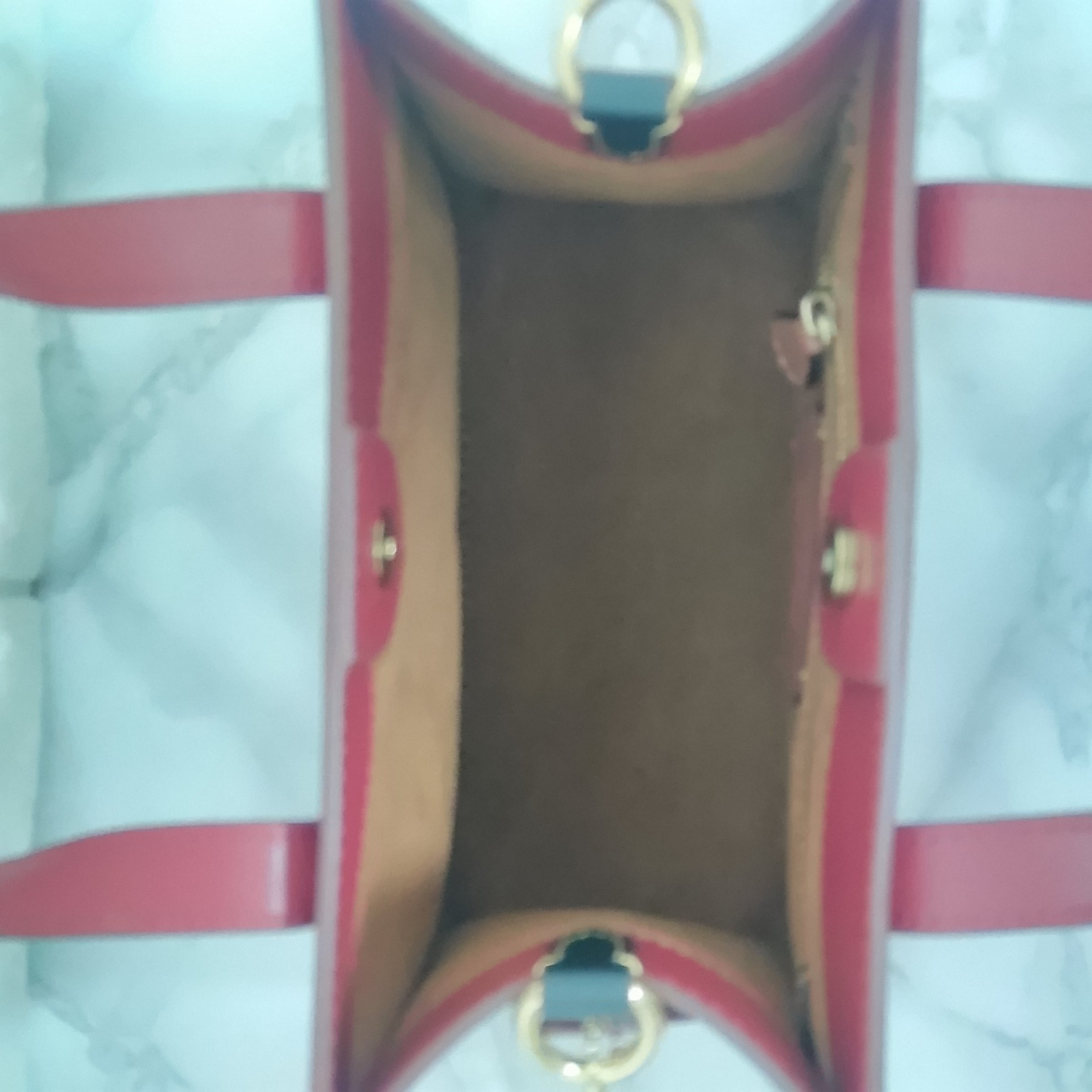 COACH コーチ レキシー トートバッグ シグネチャー タイガー 恐竜