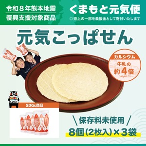 【くまもと元気便】 元気こっぱせん！3袋セット【送料ふく成負担】