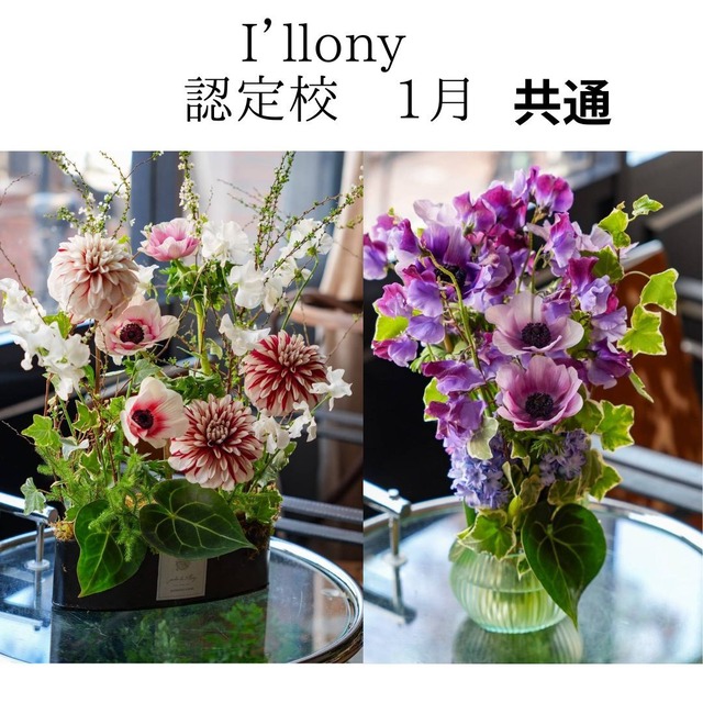 I’llony認定校専用　１月花材　シロシマウチワ　デザイン共通