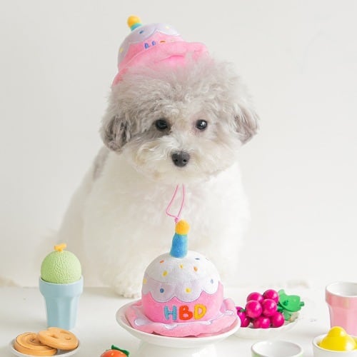 BITEME HBD 被れるバースデーケーキおもちゃ 誕生日 ペット 犬