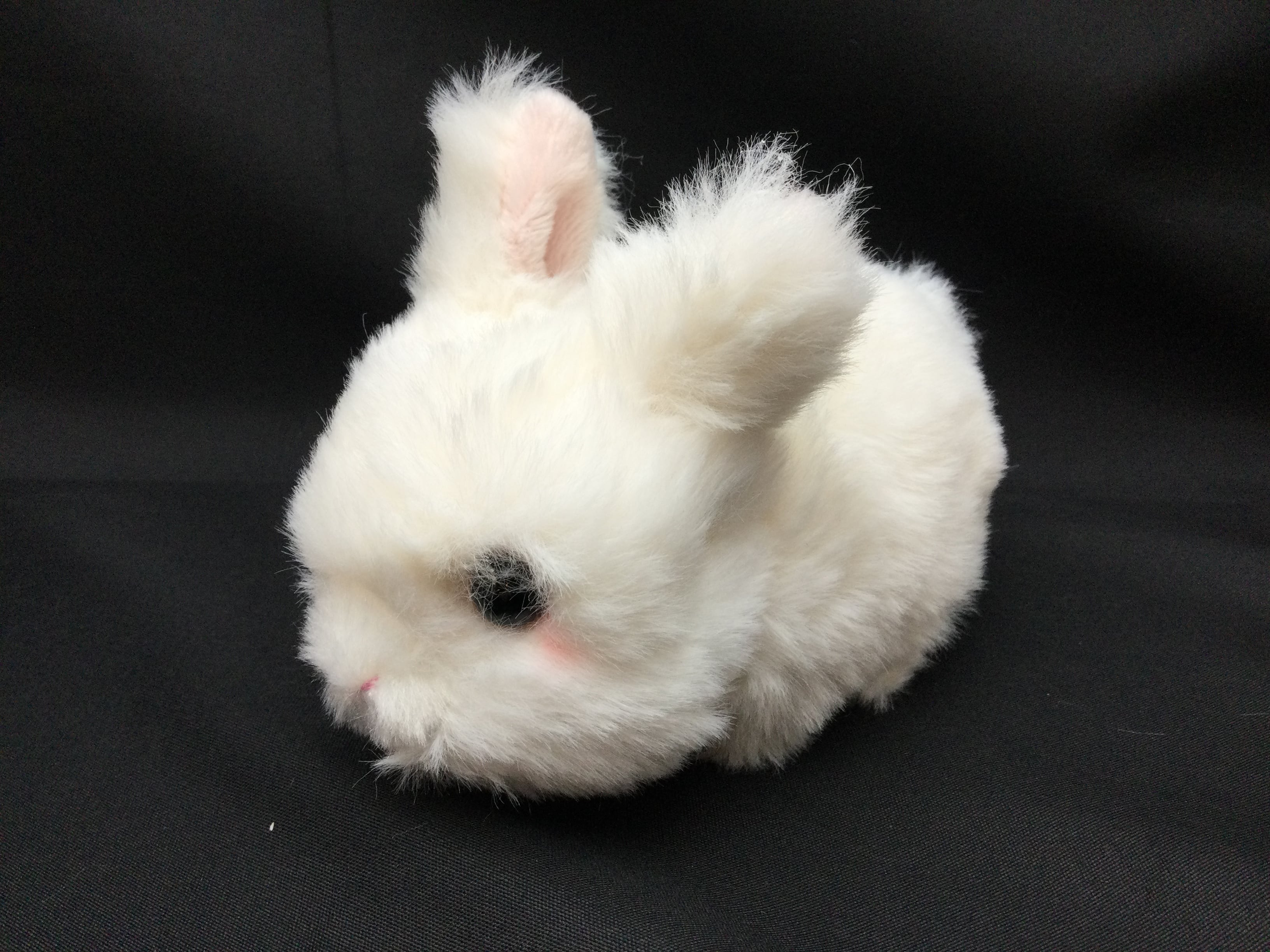 ぬいぐるみ こうさぎ | うさぎセレクトショップ森音