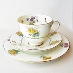 カップ＆ソーサー　ケーキ皿　ロイヤルドルトン カップトリオセット　フラワー　野花　11cus0307-82