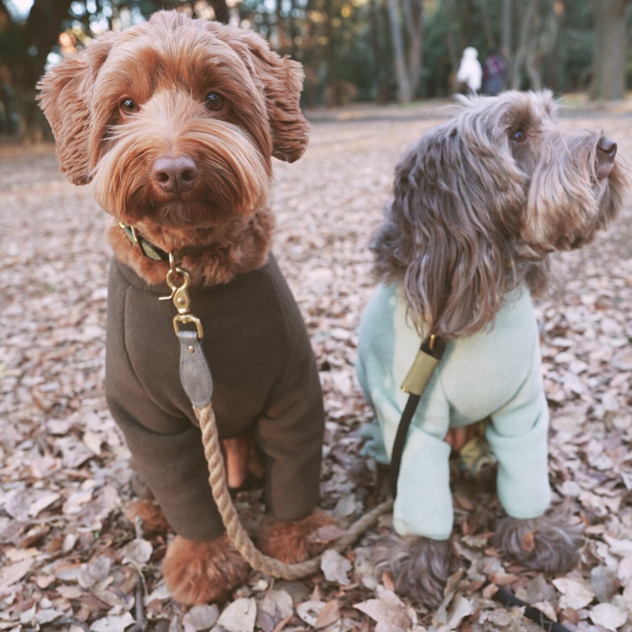 THE DAY Go-Dog Fleece <Mサイズ>