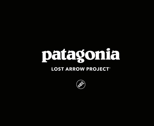 パタゴニア DASパーカー ロストアロー MARS Patagonia US DAS Parka Lost Arrow M 新品未使用 画像16