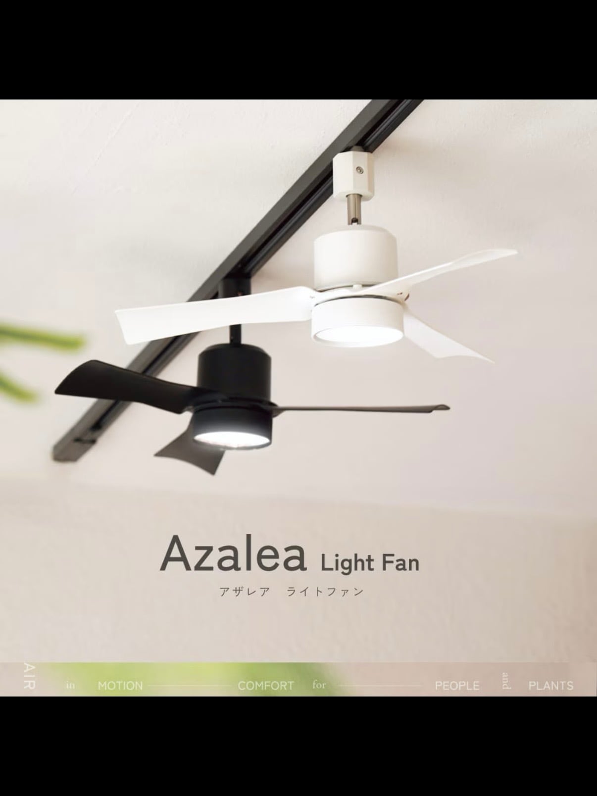 AZALEA LIGHT FAN ライト+送風機(レール取付)