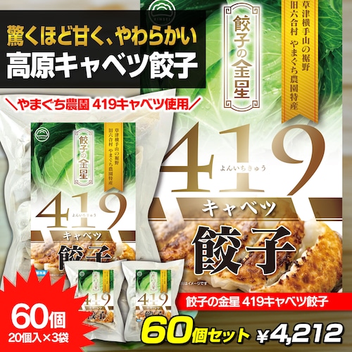 【2026年産 初物】かつて幻と呼ばれた　419キャベツ餃子　60個セット【冷凍】　標高1,100mで作る希少高原キャベツ