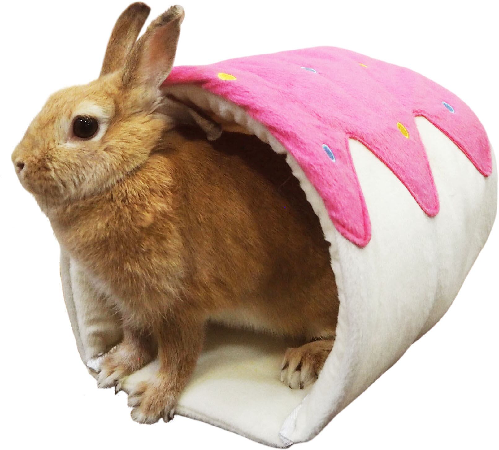 【小動物用品】ロールケーキのおうち 　ピンク/ブラウン