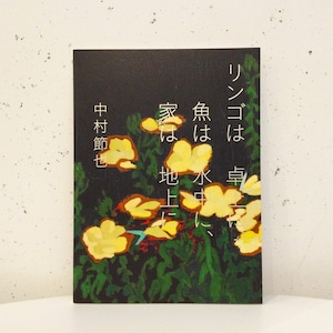 「中村節也展―リンゴは卓上に、魚は水中に、家は地上に」 カタログ