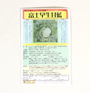 富士早生甘藍｜やわらか春キャベツ｜野口のタネ
