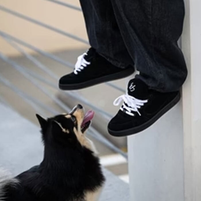 es スニーカー エス スケボー 靴 ACCEL WHITE BLACK アクセル スケート