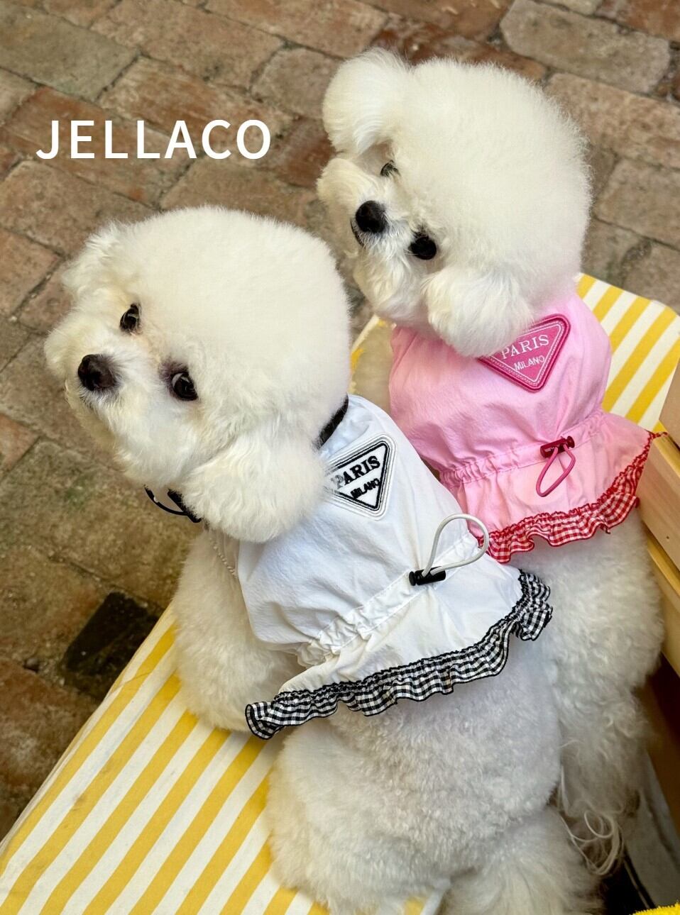 S/即納【Jella.co】Jellaco. Paris Ops《2Color》