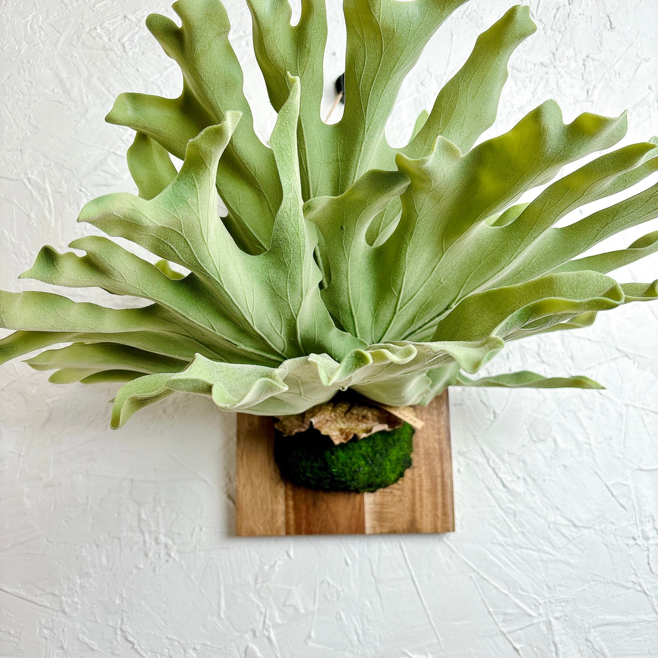 フェイクグリーン ビカクシダ [観葉植物 インテリア] | yu25plants