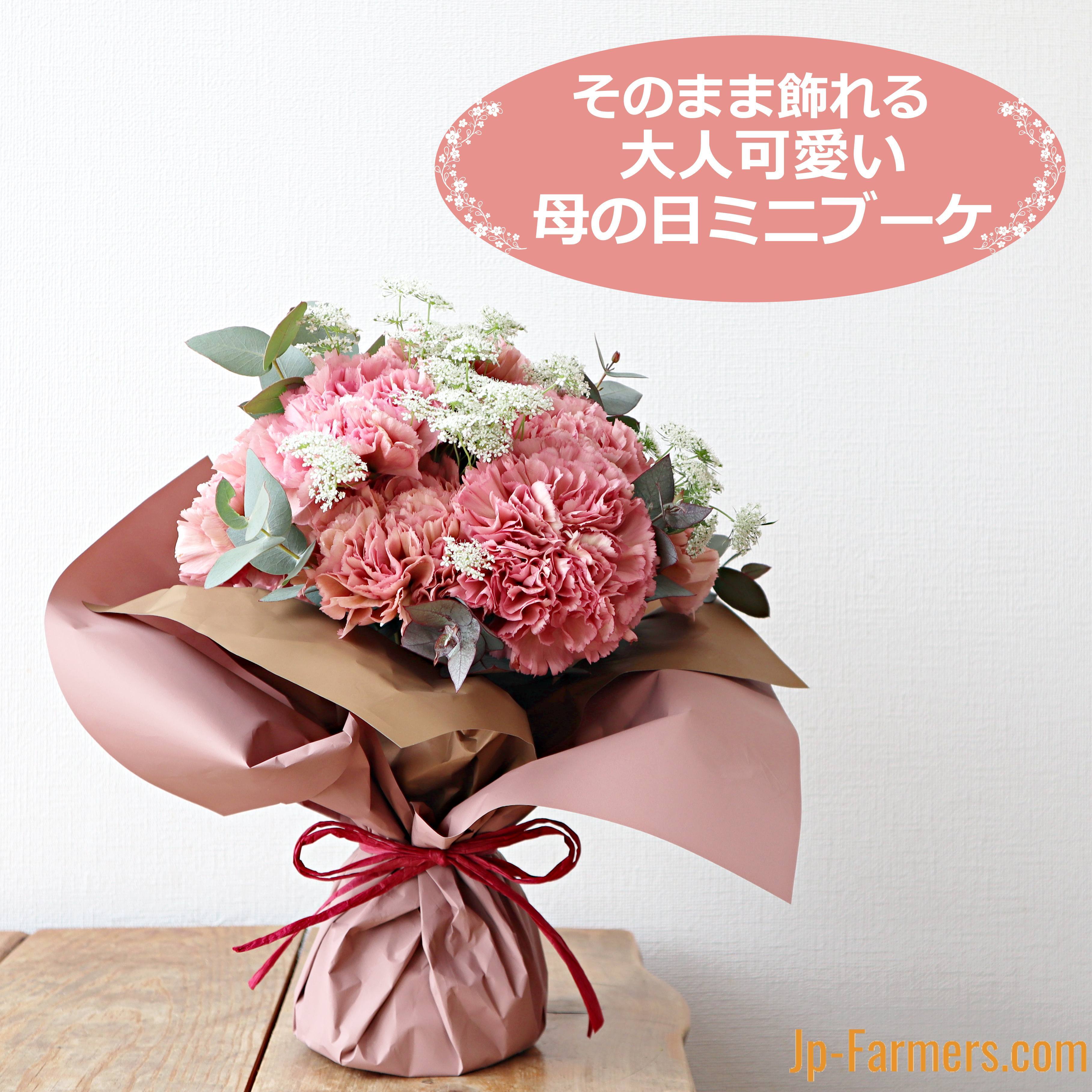 カーネーション | 新鮮お花問屋 Jp-Farmers.com