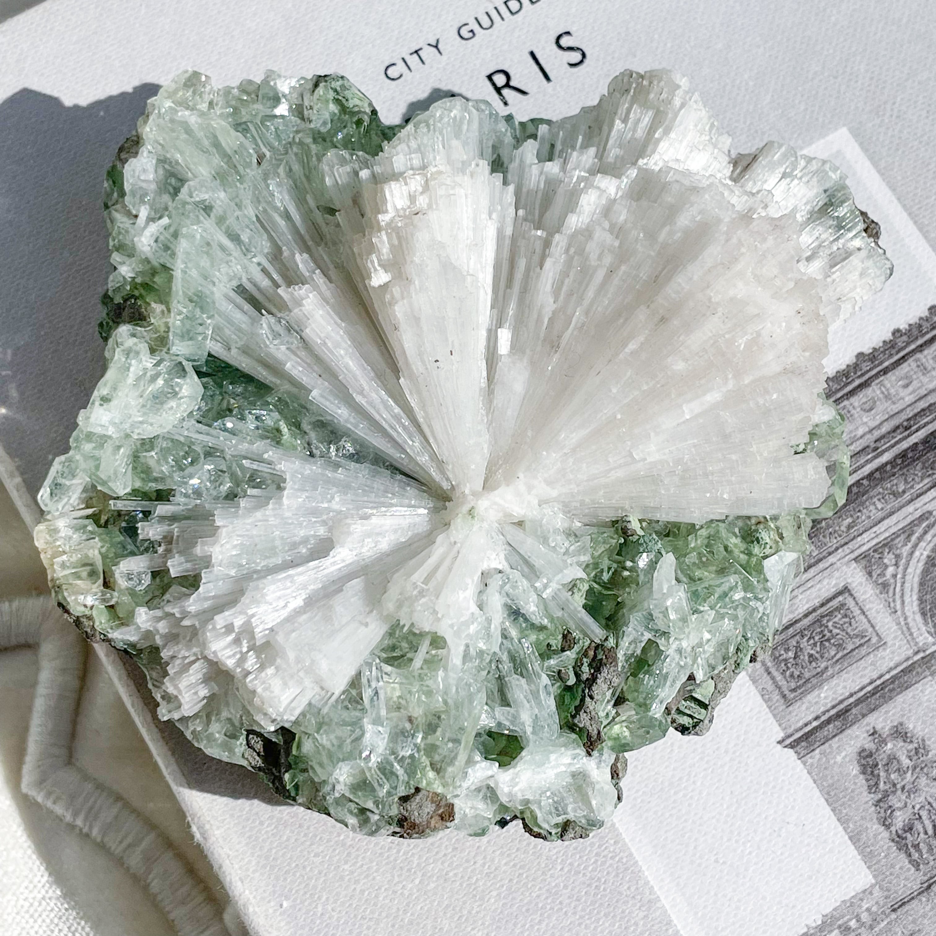 Green Apophyllite Rectangle Cluster 7 ✧ グリーンアポフィライト & スコレサイト (共生原石)